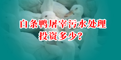 白條鴨屠宰污水處理投資多少？